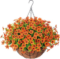 🧡Orange