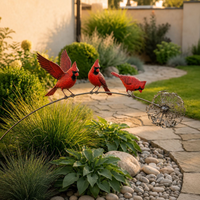 Cardinal bird