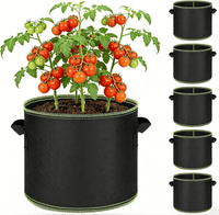 BUY 1 (5 Pack)
