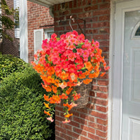 Autumn Romance